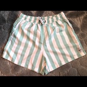 Eubi Mint Striped Swim Trunks